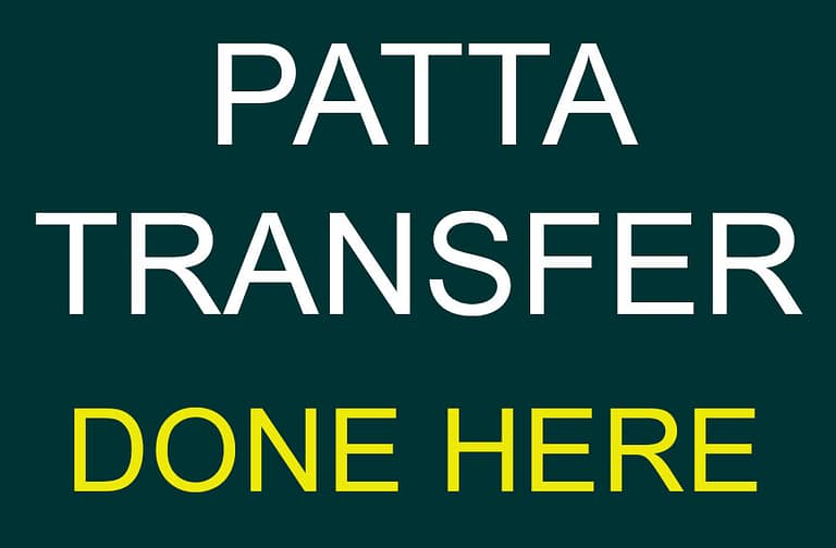 Sundays Only By Appointment